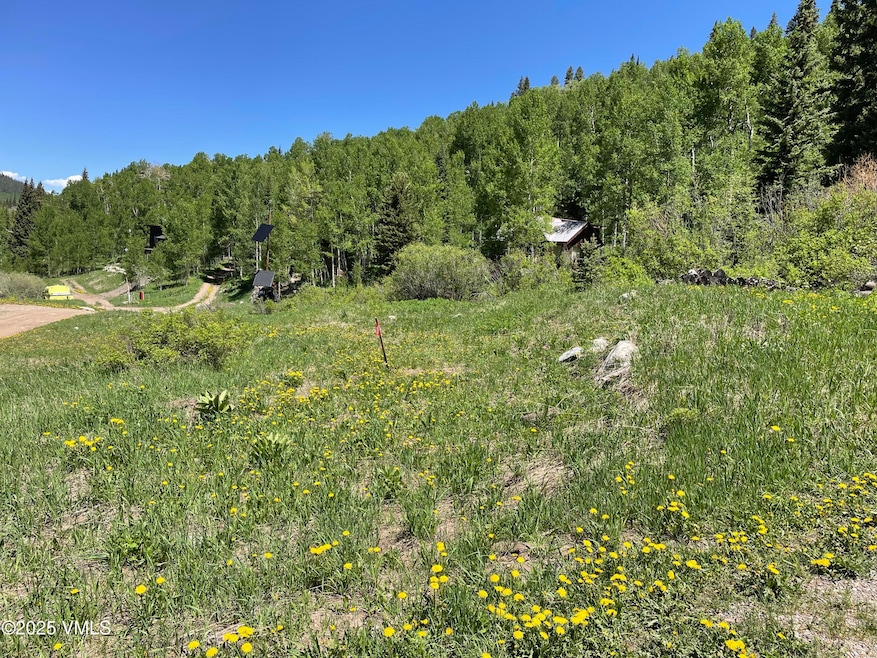 001 Street 8, Eagle, CO 81631 - photo 1