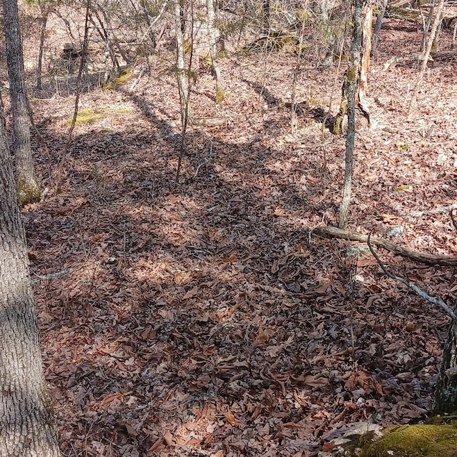 Blk3 Lot25 Elmwood Ave, Sundown, MO 65761 - photo 1