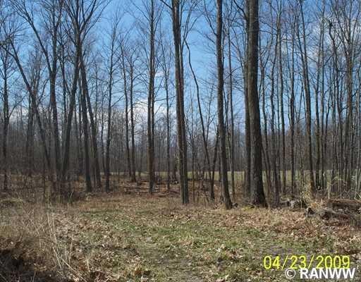 0 Cedar Swamp Rd unit 827193, Strickland, WI 54895 - photo 1