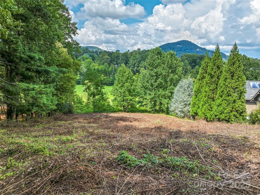 37 Bear Flower Tr unit 35B, Arden, NC 28704 - photo 1