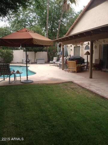 Backyard 3