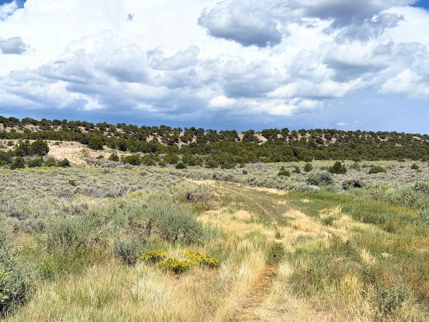 Mc Caskill Rd, Fort Garland, CO 81133 - photo 1