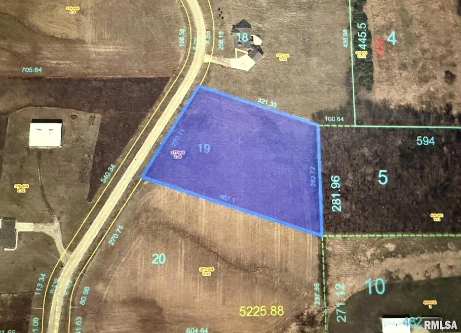 2103 Olof Krans Ave, Galva, IL 61434 - photo 1