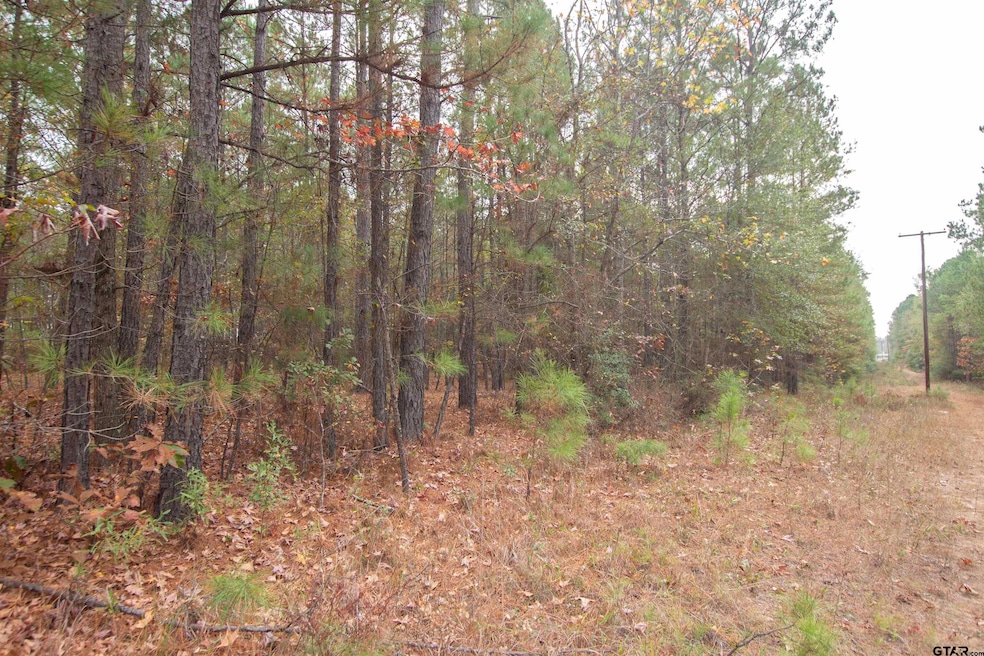 TBD County Road 169d, Kilgore, TX 75662 - photo 1