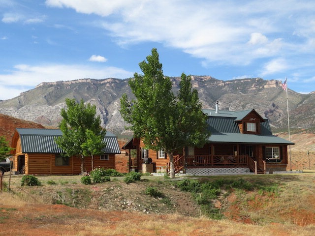 Main View