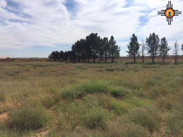 00 E Sanger St, Hobbs, NM 88240 - photo 1