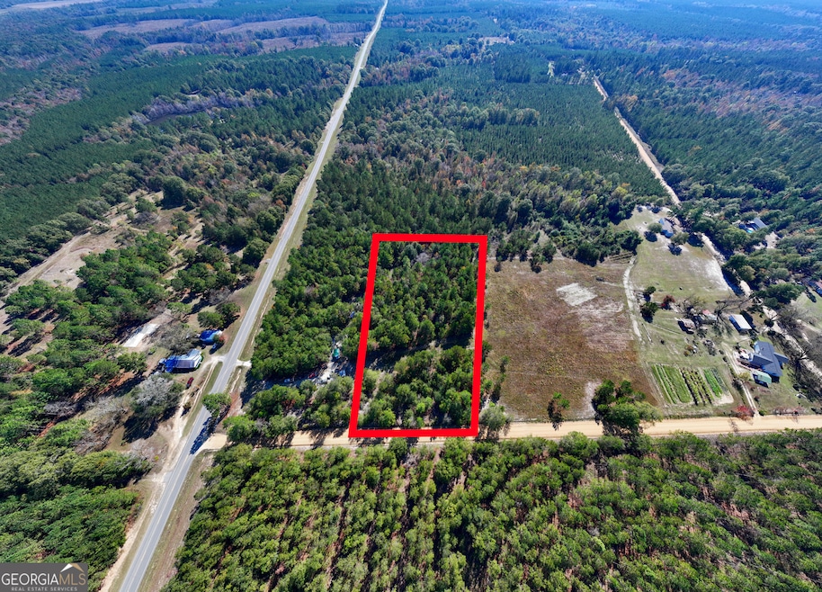 3.72 ACRES Florence Gay Rd, Cadwell, GA 31009 - photo 1