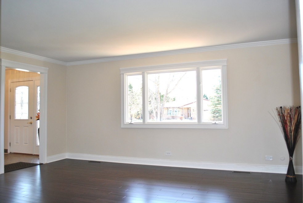 29W128 Wagner Rd, Naperville, IL 60564 - photo 1