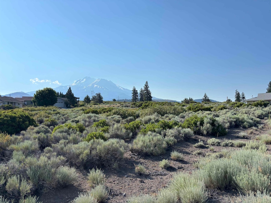 Unit 7-2 Lot 92 Puma Dr unit 7-2, Weed, CA 96094 - photo 1