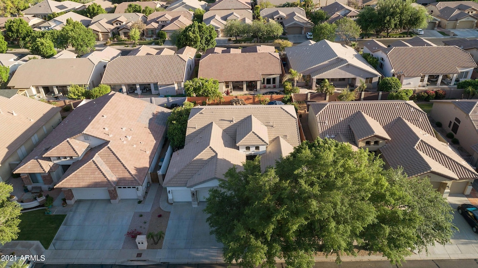 351 W Vinedo Ln, Tempe, AZ 85284 - photo 1