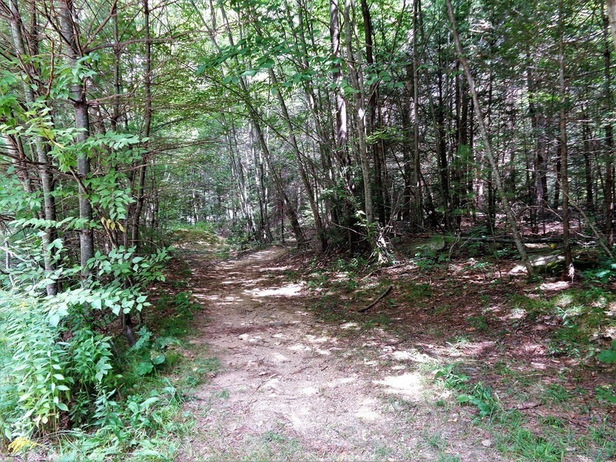 40 Glendale Rd, Fiskdale, MA 01518 - photo 1