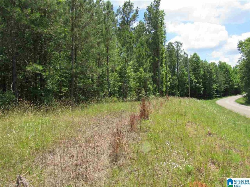 0 County Road 329 unit 8.41 1289420, Wedowee, AL 36278 - photo 1