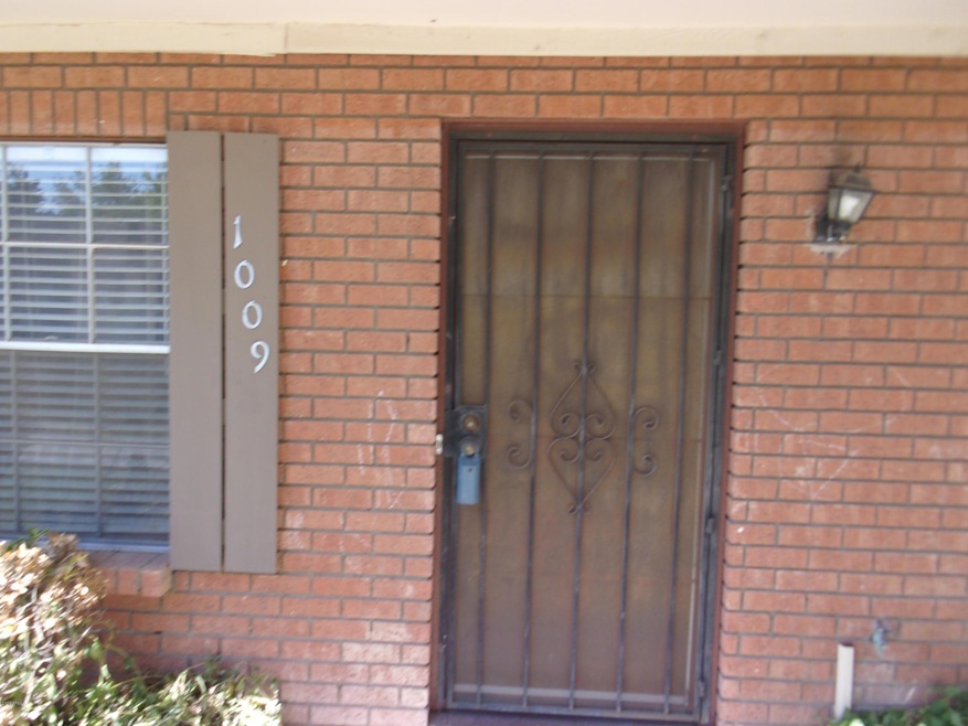 FRONT SECURITY SCREEN