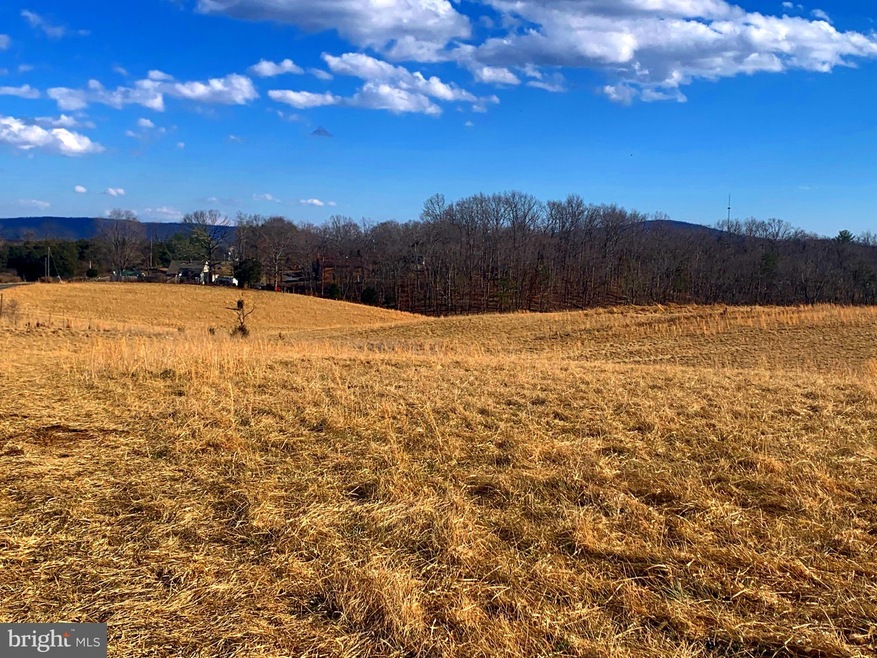 0 Gruver Grade unit VAWR2002444, Middletown, VA 22645 - photo 1