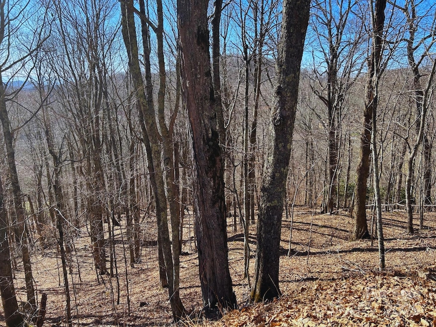 692 Oak Ridge, Wolf Laurel