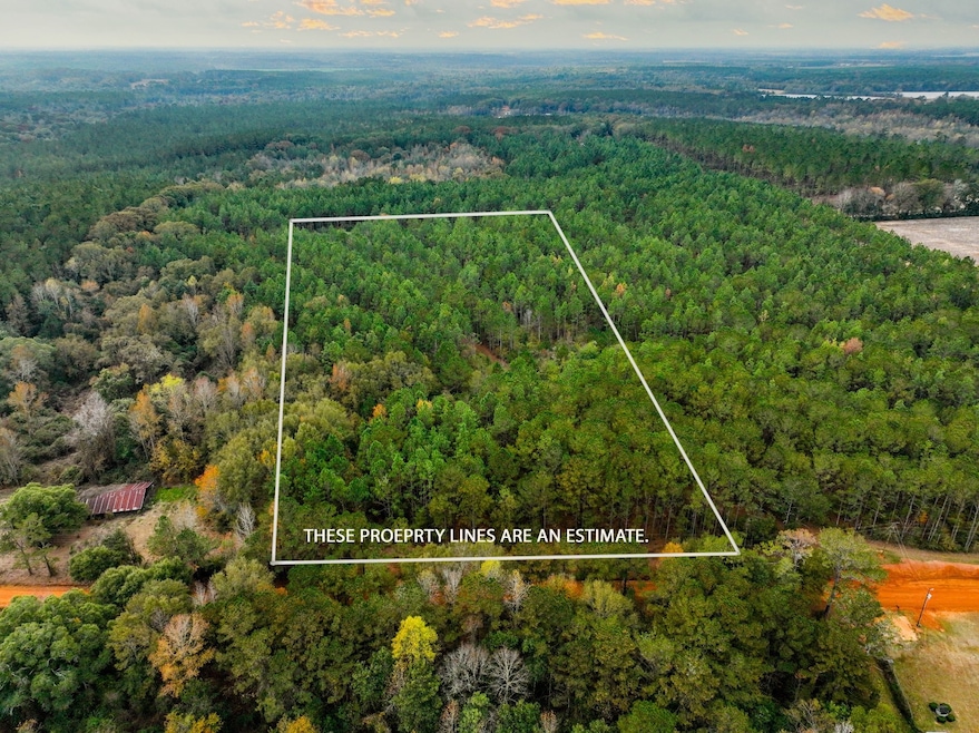7 Acres Lot D County Road 682, Coffee Springs, AL 36318 - photo 1