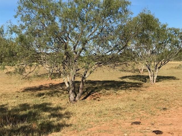 104 Arrow Point unit 6, Fredericksburg, TX 78624 - photo 1