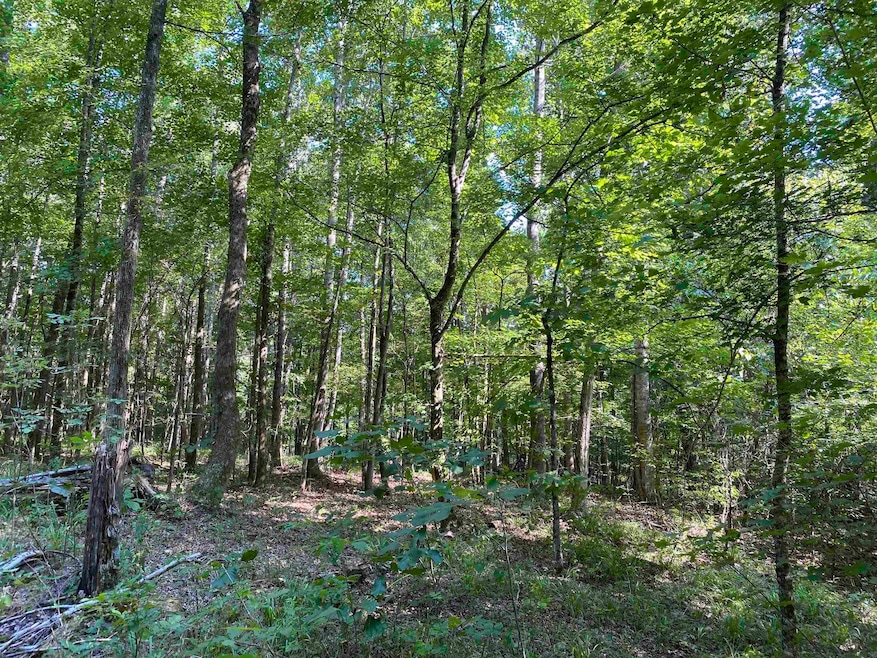 1 Treece Ln, Adamsville, TN 38310 - photo 1