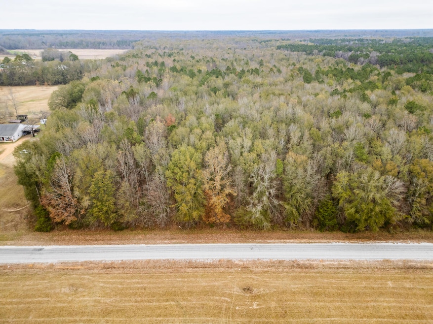 10 Acres Reed Rd, Starkville, MS 39759 - photo 1