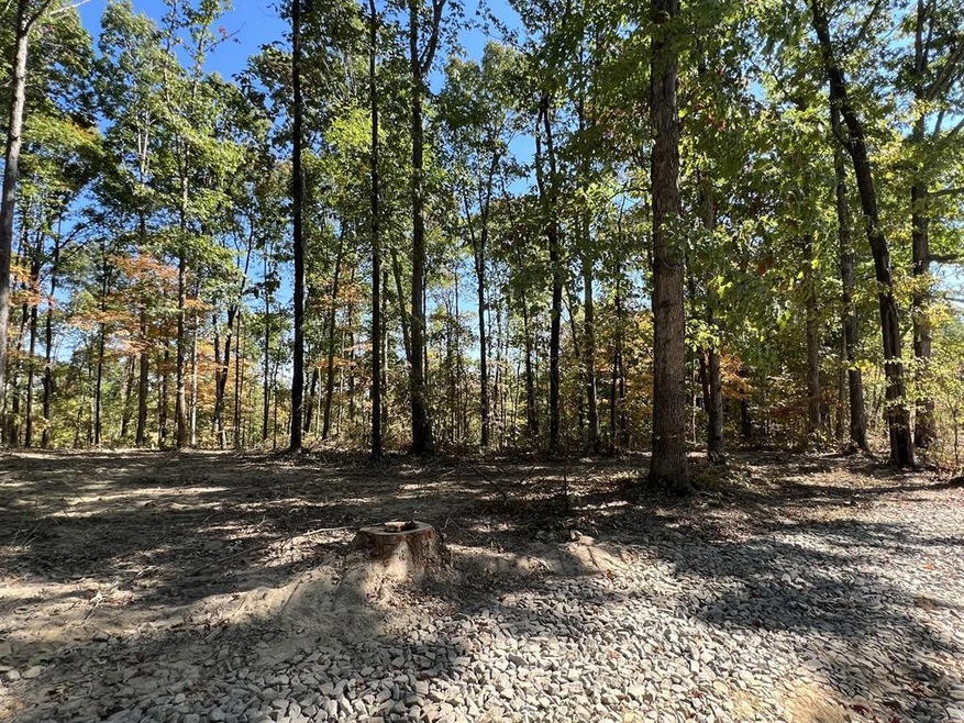 0 Highway 232 unit 128207, Stewart, TN 37175 - photo 1