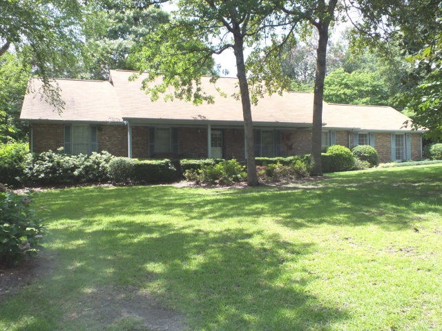 Main View