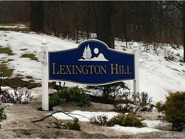 7 Lexington Hill unit 12, Harriman, NY 10926 - photo 1