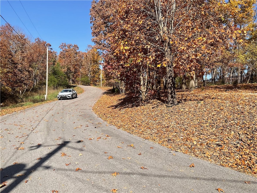 TBD Morvan Ln, Bella Vista, AR 72715 - photo 1