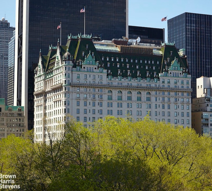 The Plaza unit 1337, New York, NY 10019 - photo 1