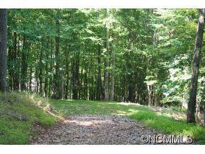 1218 Kanawa Ln unit 123, Arden, NC 28704 - photo 1