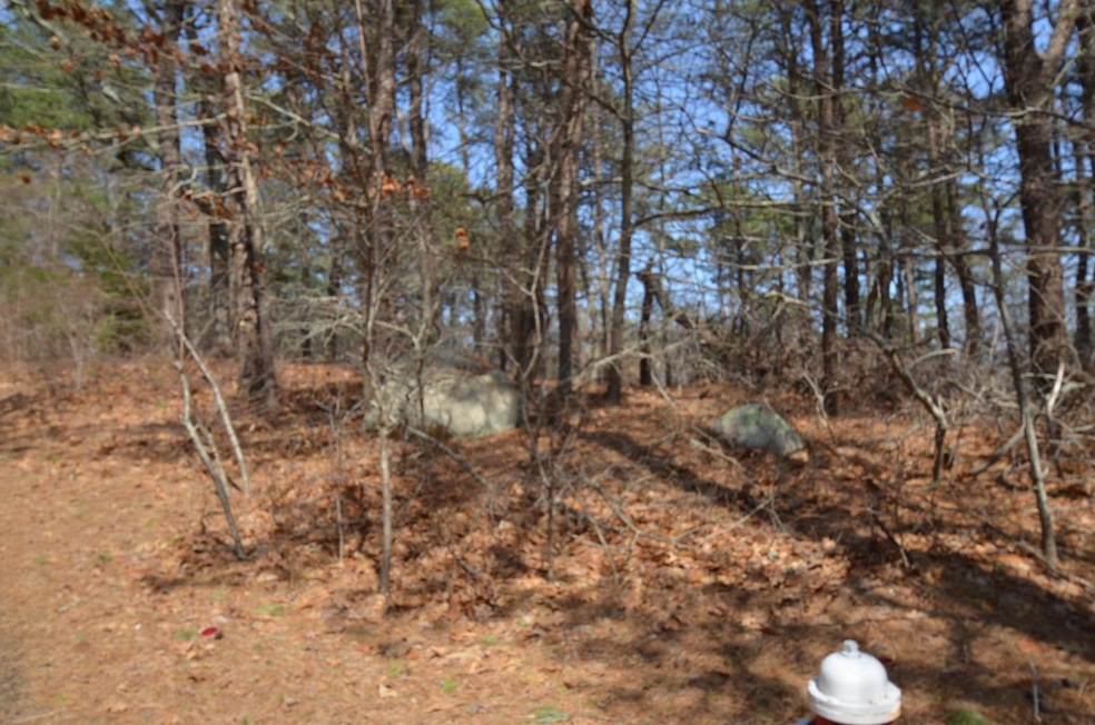 11 Peter M Williamson Blvd, Oak Bluffs, MA 02557 - photo 1