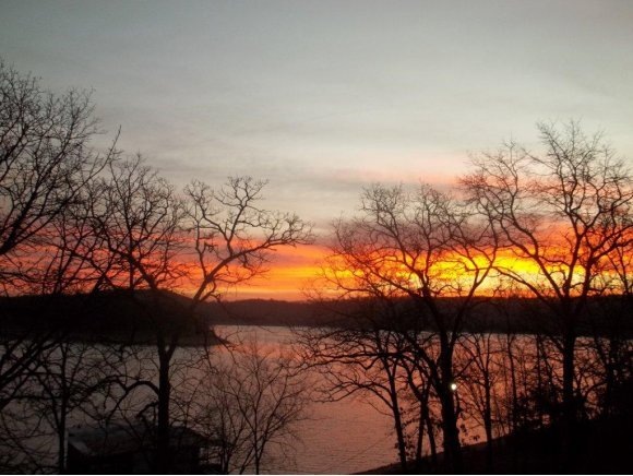 32 Ash Ln, Kimberling City, MO 65686 - photo 1