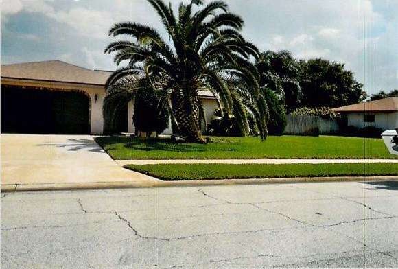 Primary Photo