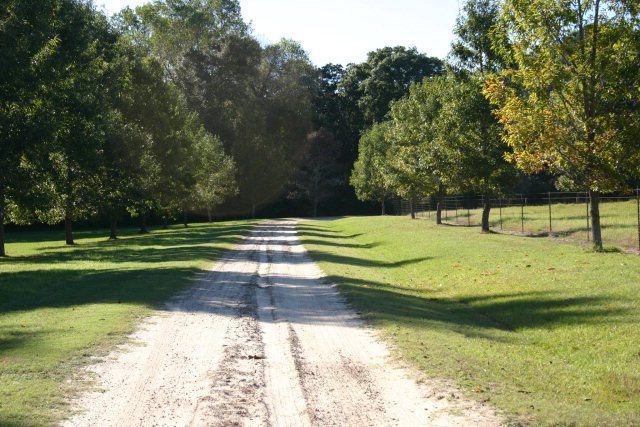 329 Dekle Rd, Thomasville, GA 31757 - photo 1