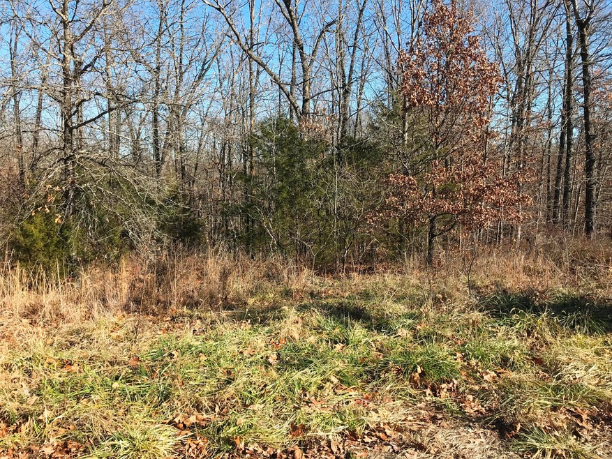 Tbd Farm Road 2090, Jenkins Township, MO 65605 - photo 1