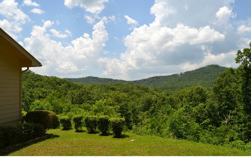 Main View
