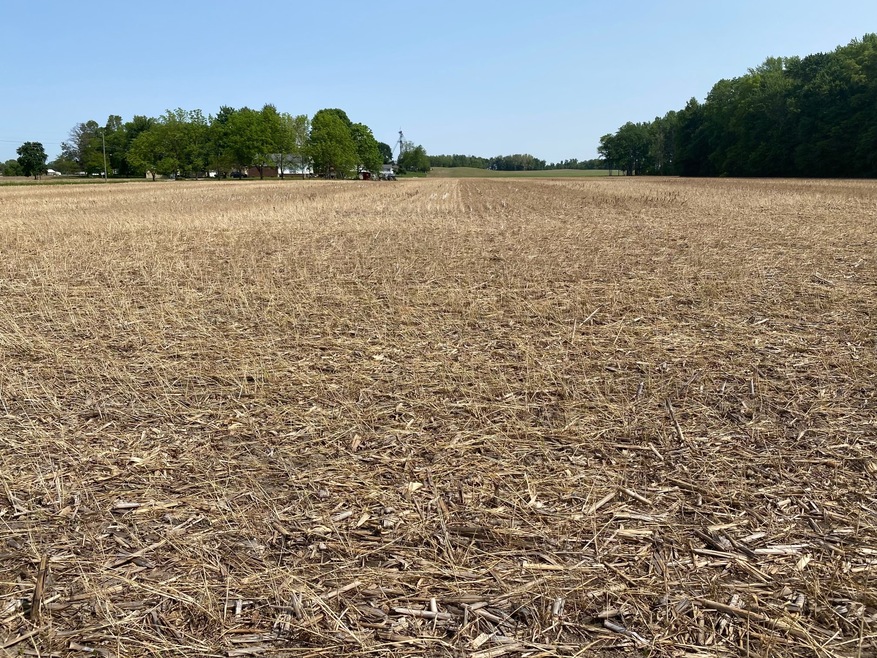 Sold $53,000 • Co-Listing Agent