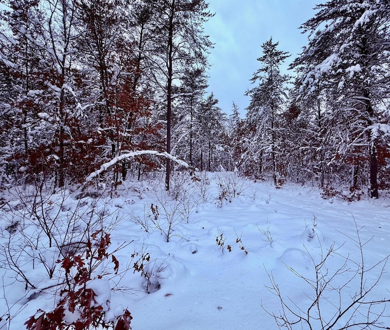 11335 S Broadway St, Bitely, MI 49309 - photo 1