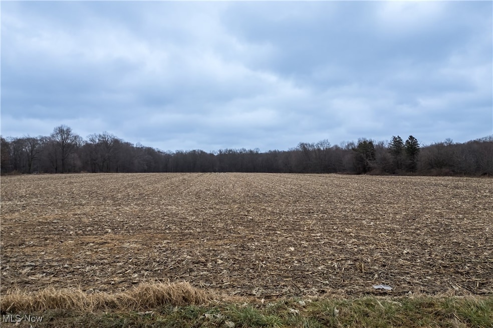 Lot 3 New Milford (5 33 Ac), Rootstown, OH 44272 - photo 1