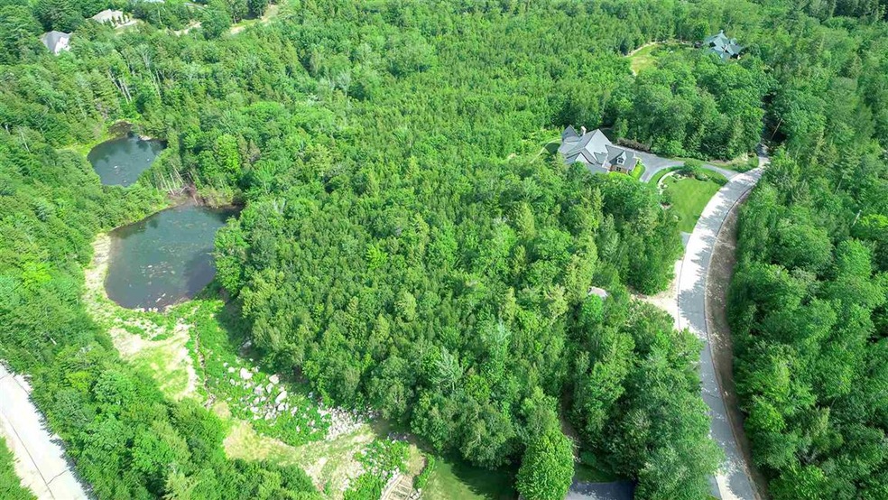 65 Boulder Ridge Rd unit 121, Hale's Location, NH 03860 - photo 1