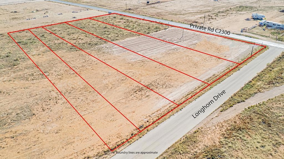 2059 County Rd C2300, Midland, TX 79705 - photo 1