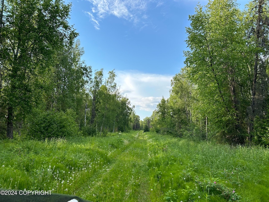 13964 W Little Jack Ave, Wasilla (1)