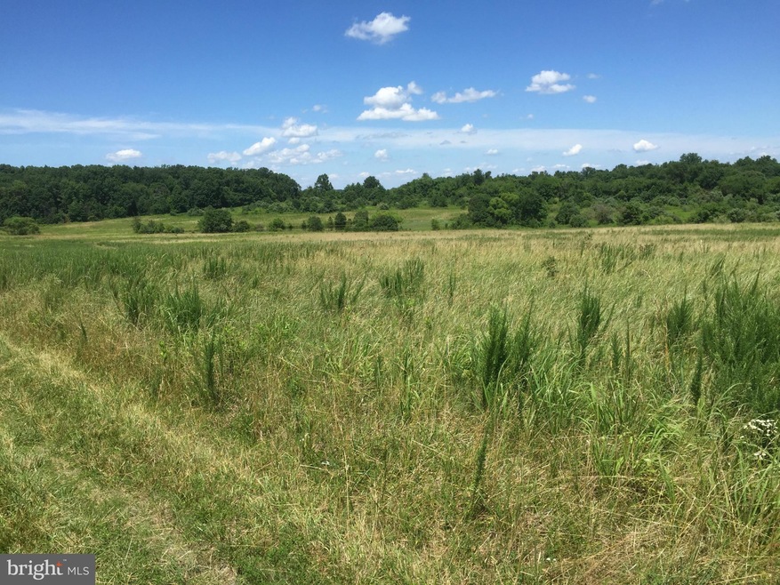 unlisted-address, Blue Ridge, VA 20141 - photo 1