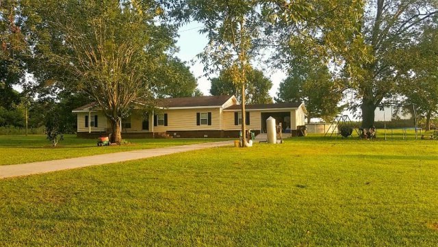 Main View