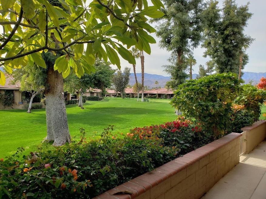 back patio view