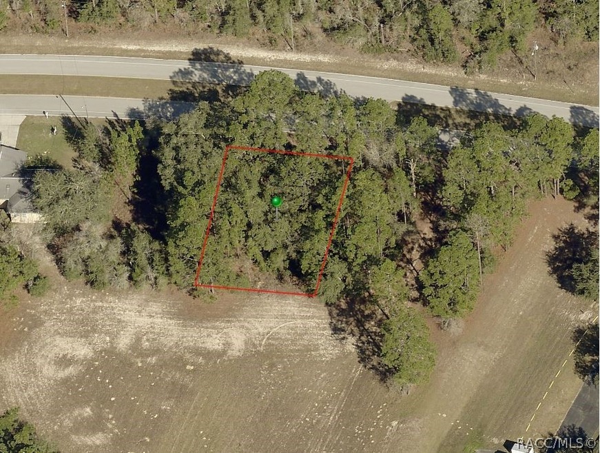 9255 N Citrus Springs Blvd, Citrus Springs, FL 34433 - photo 1