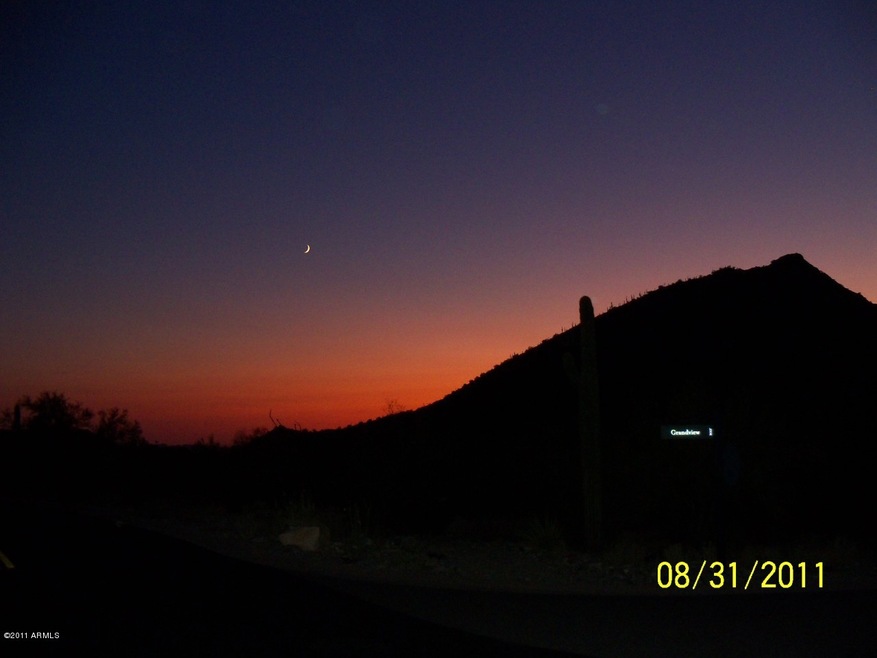 Sunsetting View