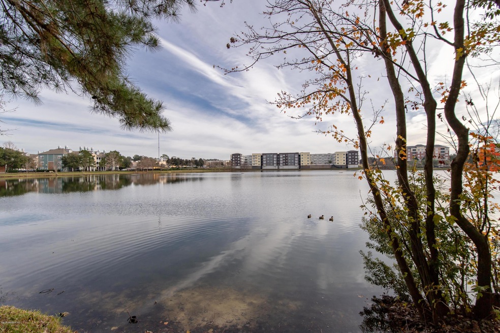 Lake View
