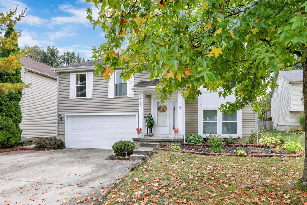 3-web-or-mls-0D3A9441 copy