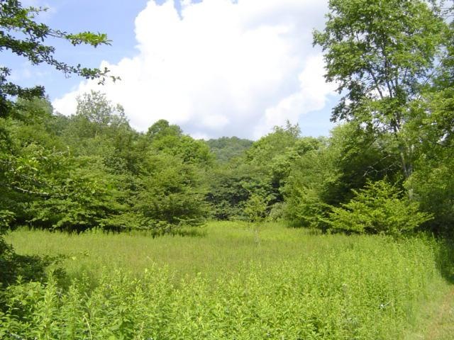 2 acres near Snowshoe