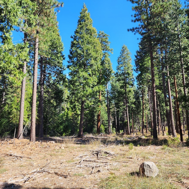 0 Ca-44 unit 25-4746, Shingletown, CA 96088 - photo 1